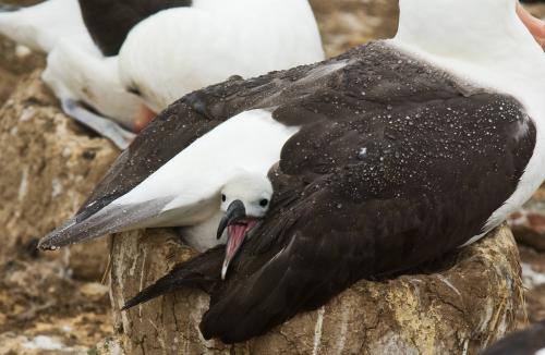 Looking out my back door