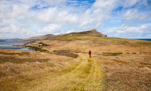 New Island, Be Prepared to Walk