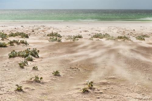 Volunteer Point, typical windy day