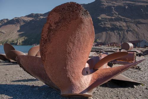 Abandoned Ship Screw, Stromness