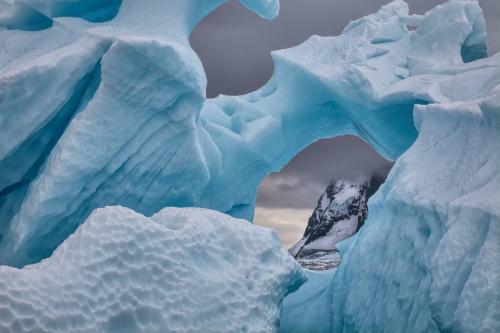 Looking Through The Window