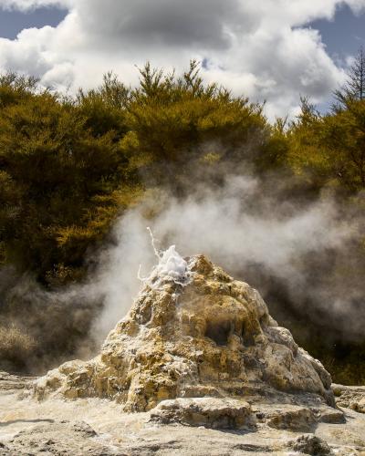 Lady Knox Geyser