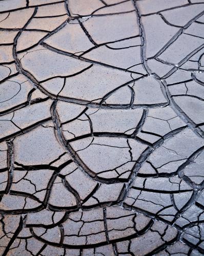Mud Patterns