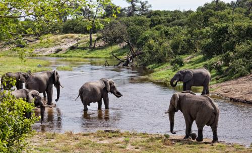 Morning get together