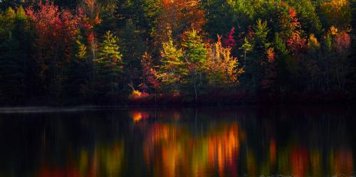 Autumn Reflections