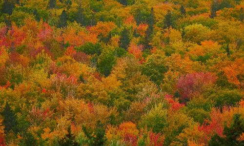 Autumn Colours, Nova Scotia