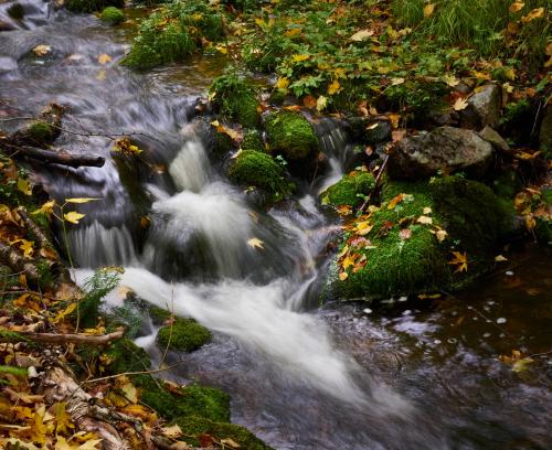 Bubbling Brook, Cheticamp