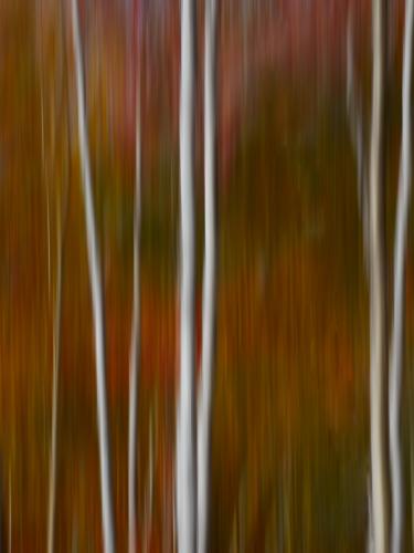 Intentional Camera Movement