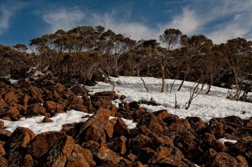Mount Wellington, Kunyani