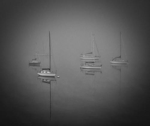 Foggy Boats, Huon River